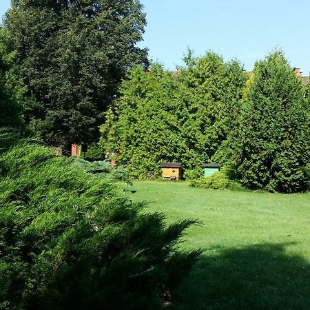 Kwiatowa Zagroda Białowieża Eksteriør bilde