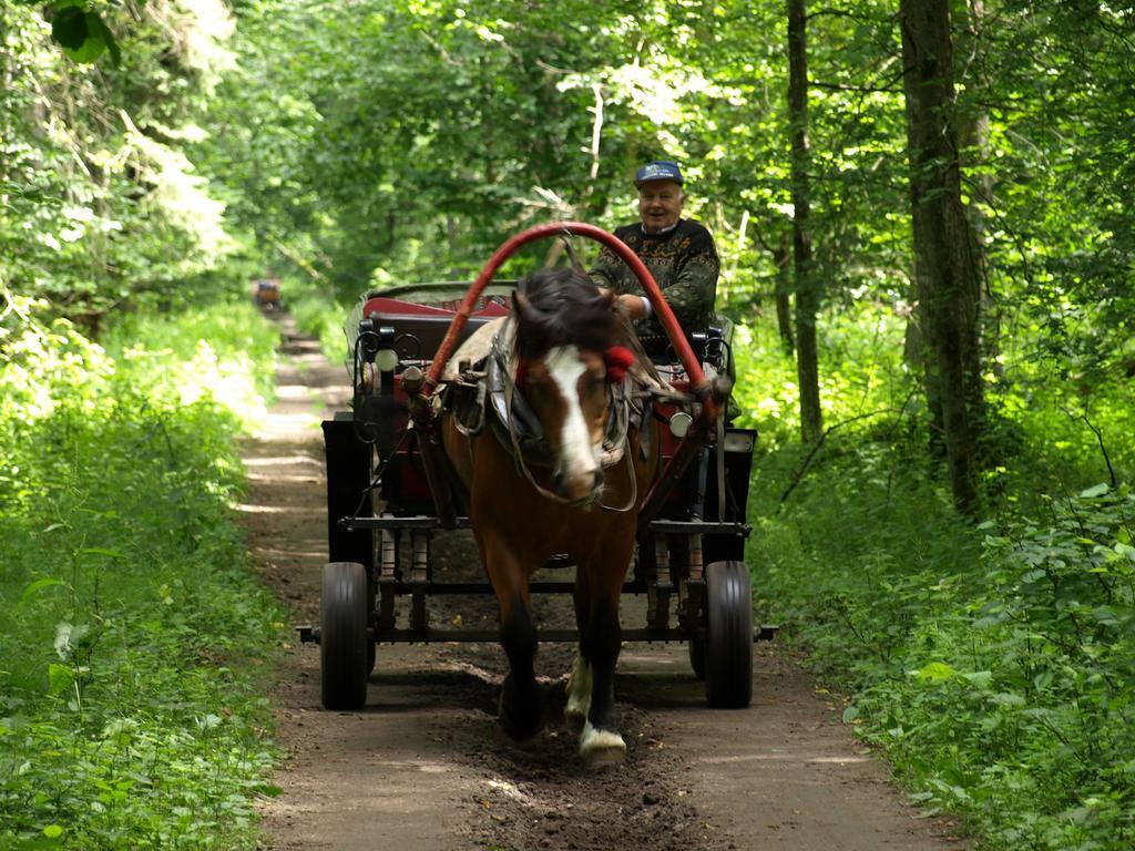 Kwiatowa Zagroda Białowieża Eksteriør bilde