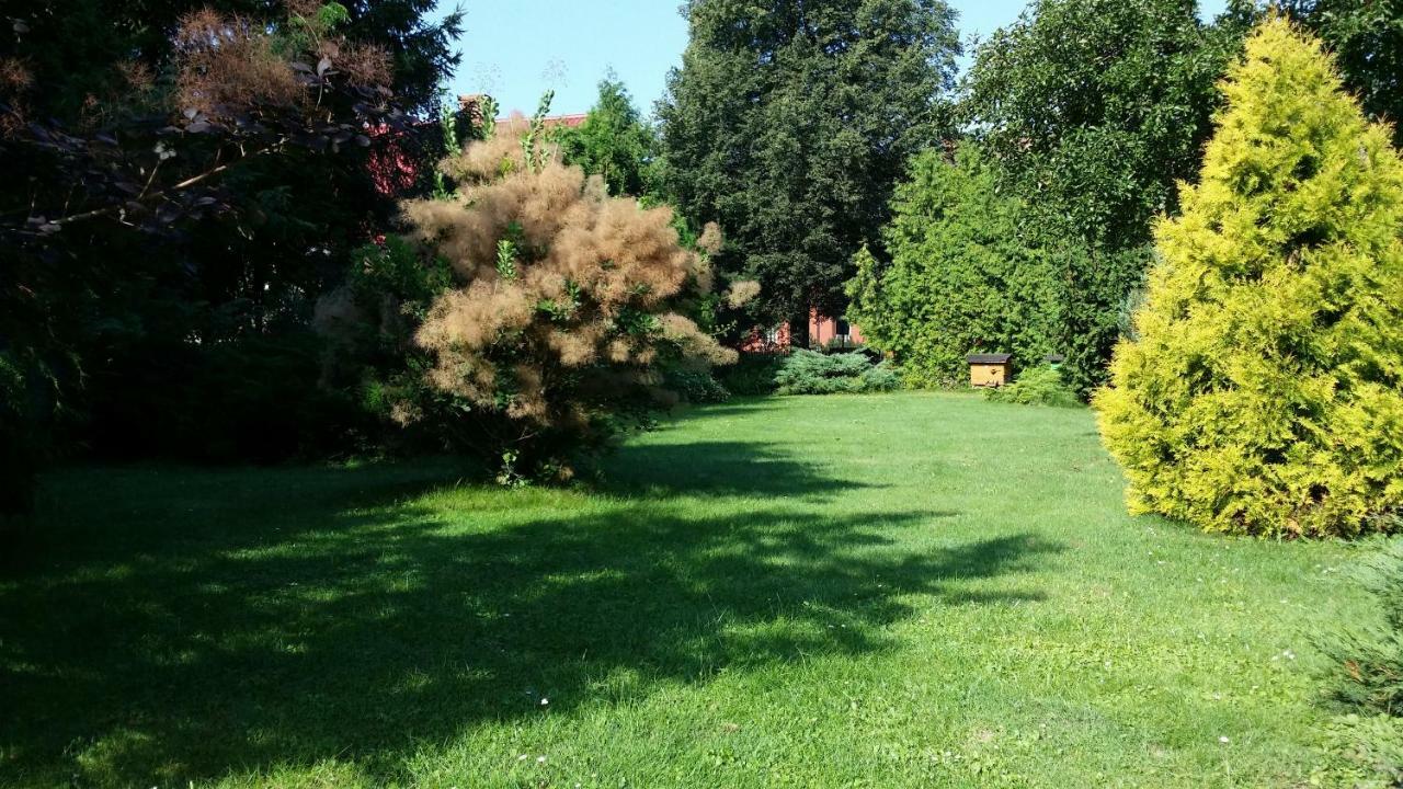 Kwiatowa Zagroda Białowieża Eksteriør bilde